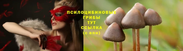 МДПВ Магадан