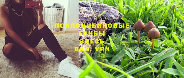 PSILOCYBIN Абдулино