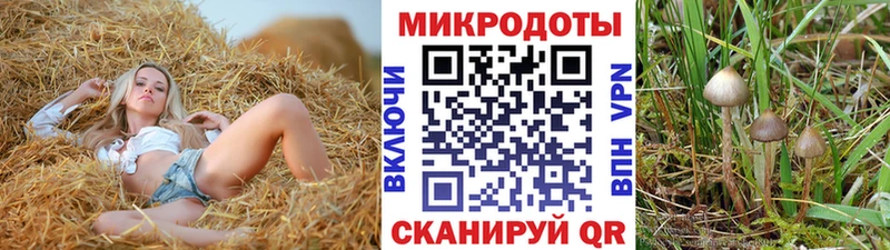 Галлюциногенные грибы мицелий  дарнет шоп  гидра как войти  Назрань 